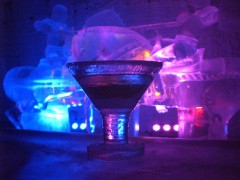アイスミュージアム　氷のマティーニグラス