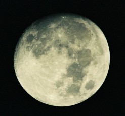 満月近い月