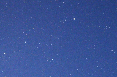 ４月２３日のパンスターズ彗星：画面中心部にあります 尾は左上の方向に延びているのがわかります