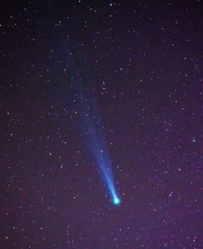 11月16日に房総半島の鴨川で天体望遠鏡を使い撮影されたアイソン彗星（撮影：首藤謙一）