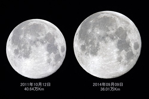 今回の中秋の名月は、スーパームーンと呼ばれますが、これは、地球の周りを公転している月が、楕円軌道を描いており、地球に近いときに満月となる場合と遠い時に満月となる場合で、その見える大きさが異なることから起きる現象で、この写真のようにずいぶんとその大きさに差があることがわかります。（撮影：浦辺守）