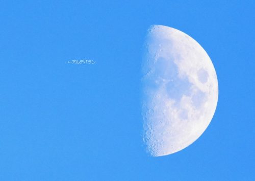 今年の２月１６日のアルデバラン食では、夜が暗くなる前に潜入が見られました。 この写真は、潜入前のアルデバランと月の姿です。