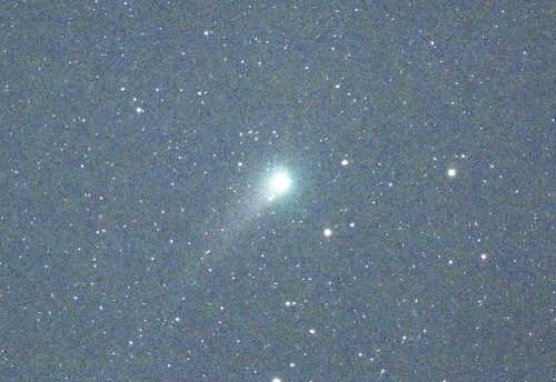 ジョンソン彗星（５月２０日撮影）