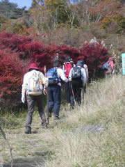 筑波山を登る