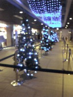 アクアワールドのクリスマスツリー
