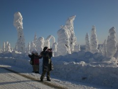 雪の芸術を撮影中