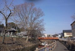 海潮寺沿いの行屋川