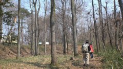 入り口から続く遊歩道