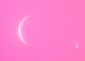 (3)金星の出現後写真（４時２３分)
