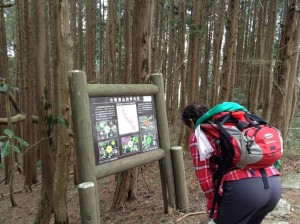 動植物の説明が書かれた立て札