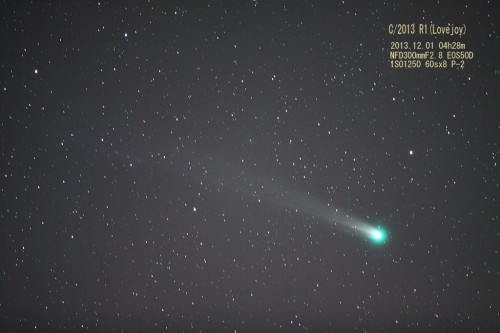 １２月１日に見られたラブジョイ彗星（撮影：浦辺守）