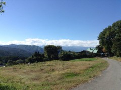 25image024l