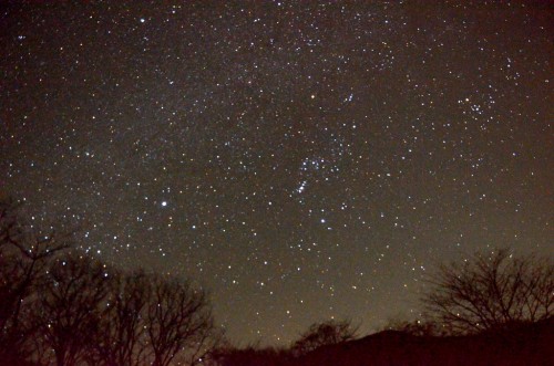 冬空に輝く星々