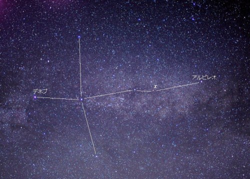 はくちょう座の写真：χ（カイ）星が明るく輝いています