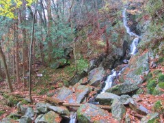 07image005l