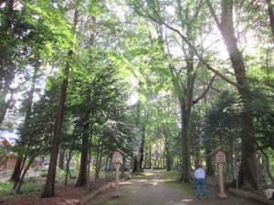 小御門神社入り口