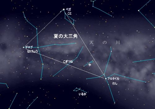 夏の大三角付近の星座